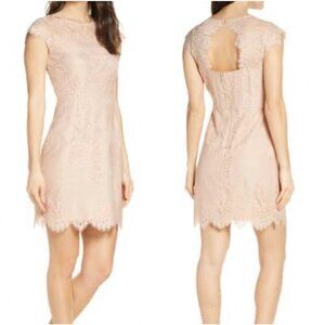 BB Dakota Women's NWOT Jayce Lace Sheath Champagne Cocktail Mini Dress Size 8